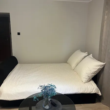 W Centrum Appartamento Turek