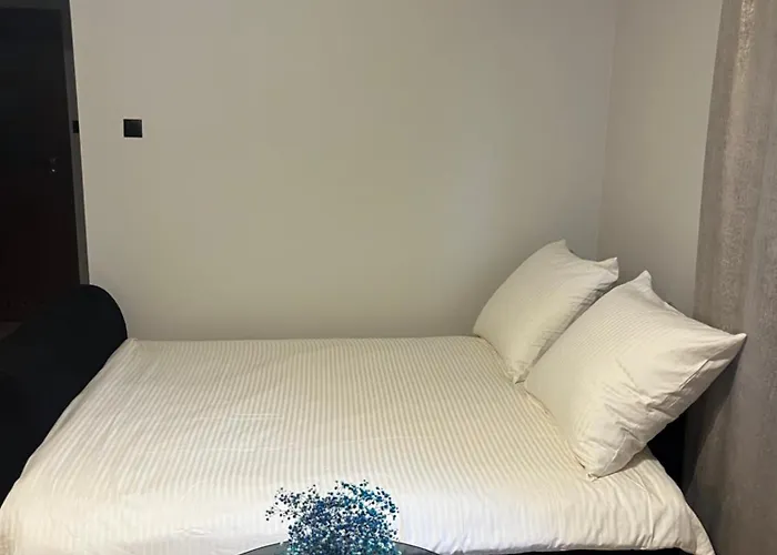 W Centrum Apartment Turek